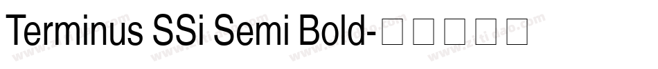Terminus SSi Semi Bold字体转换